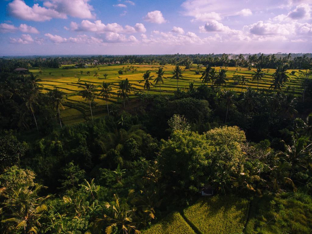 B Saya Villas Ubud  Exterior photo