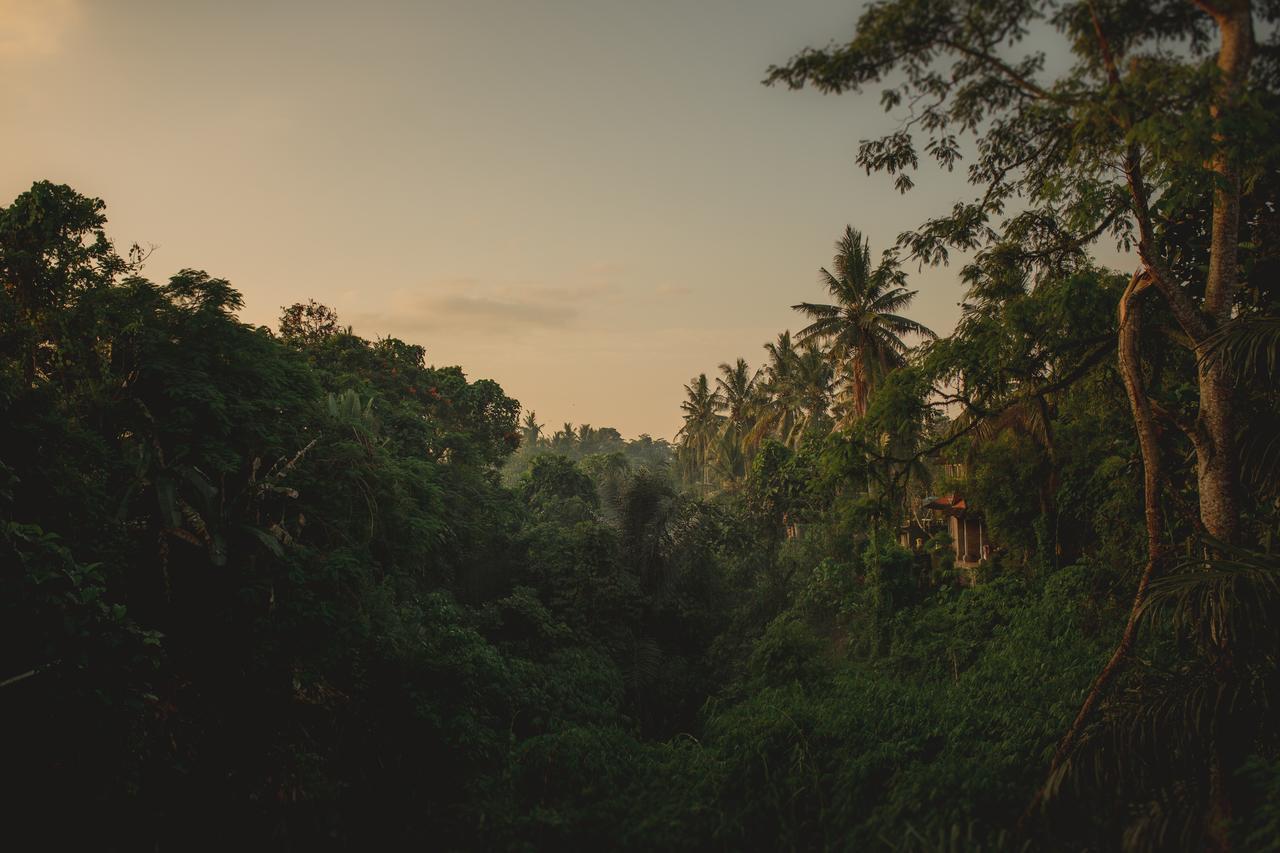 B Saya Villas Ubud  Exterior photo